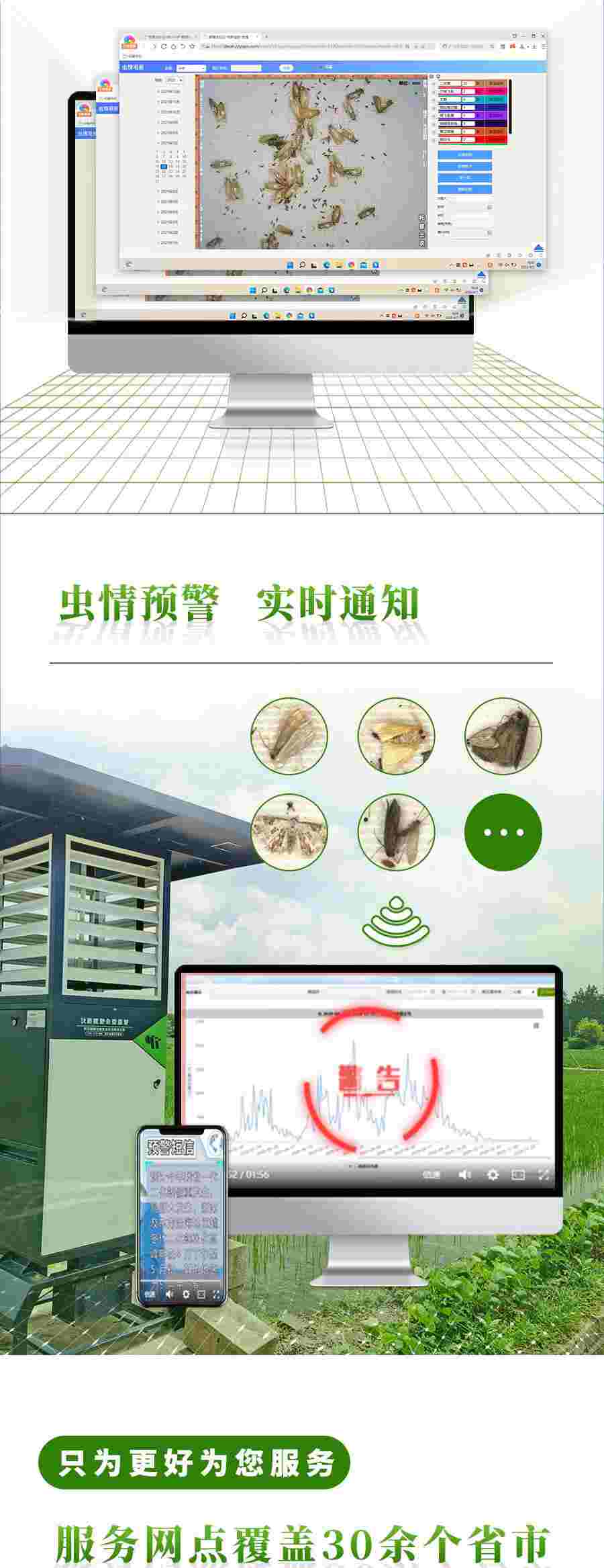 智能蟲情監(jiān)測系統(tǒng)